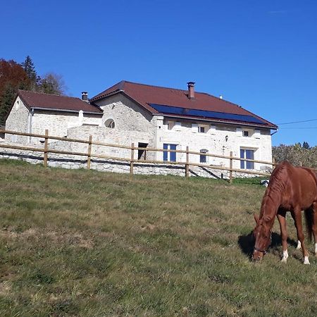 Chambres D'Hote Des 3 Marches 拉莫哈 外观 照片